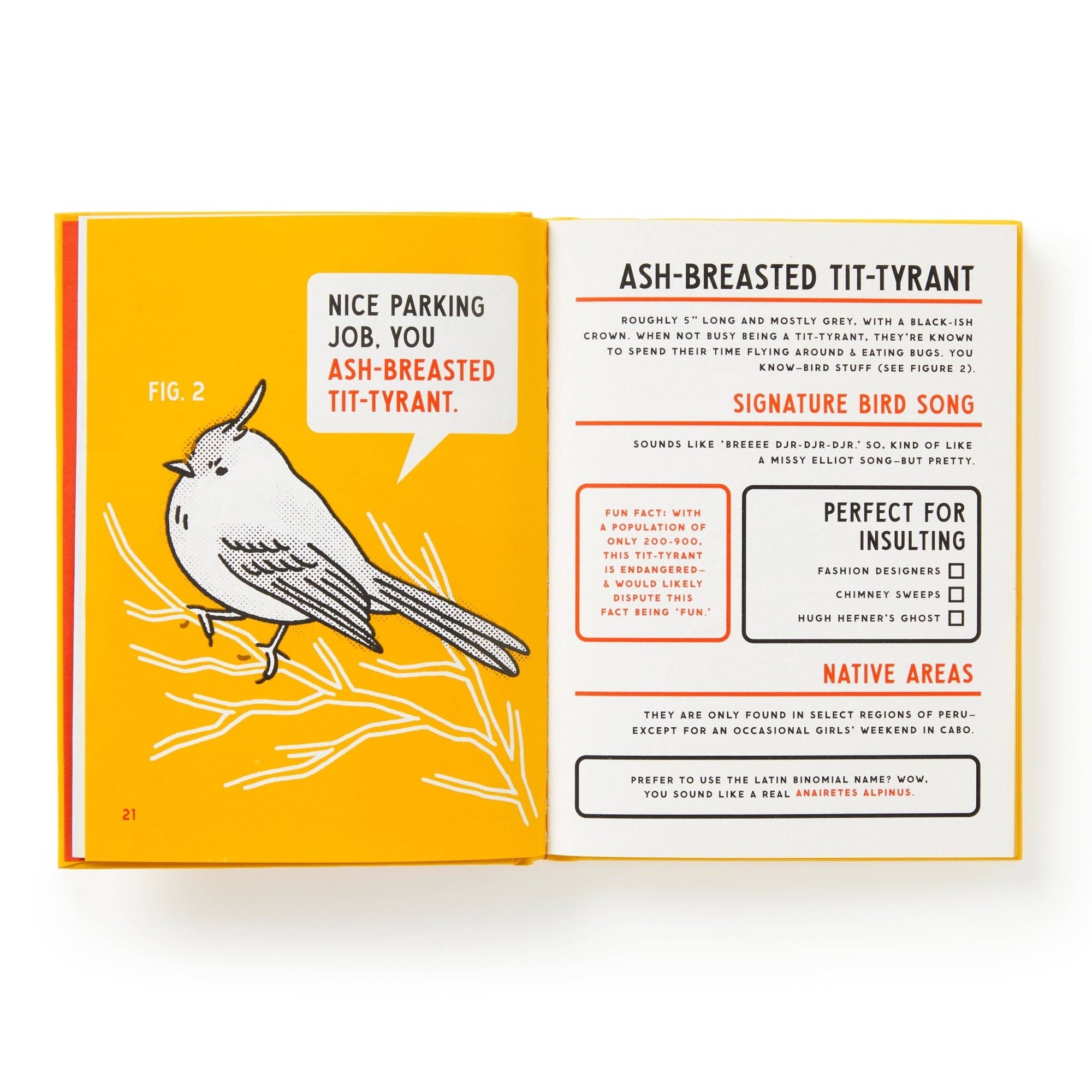 Brass Monkey Illustrated Guide to Birds - Box Turtle
