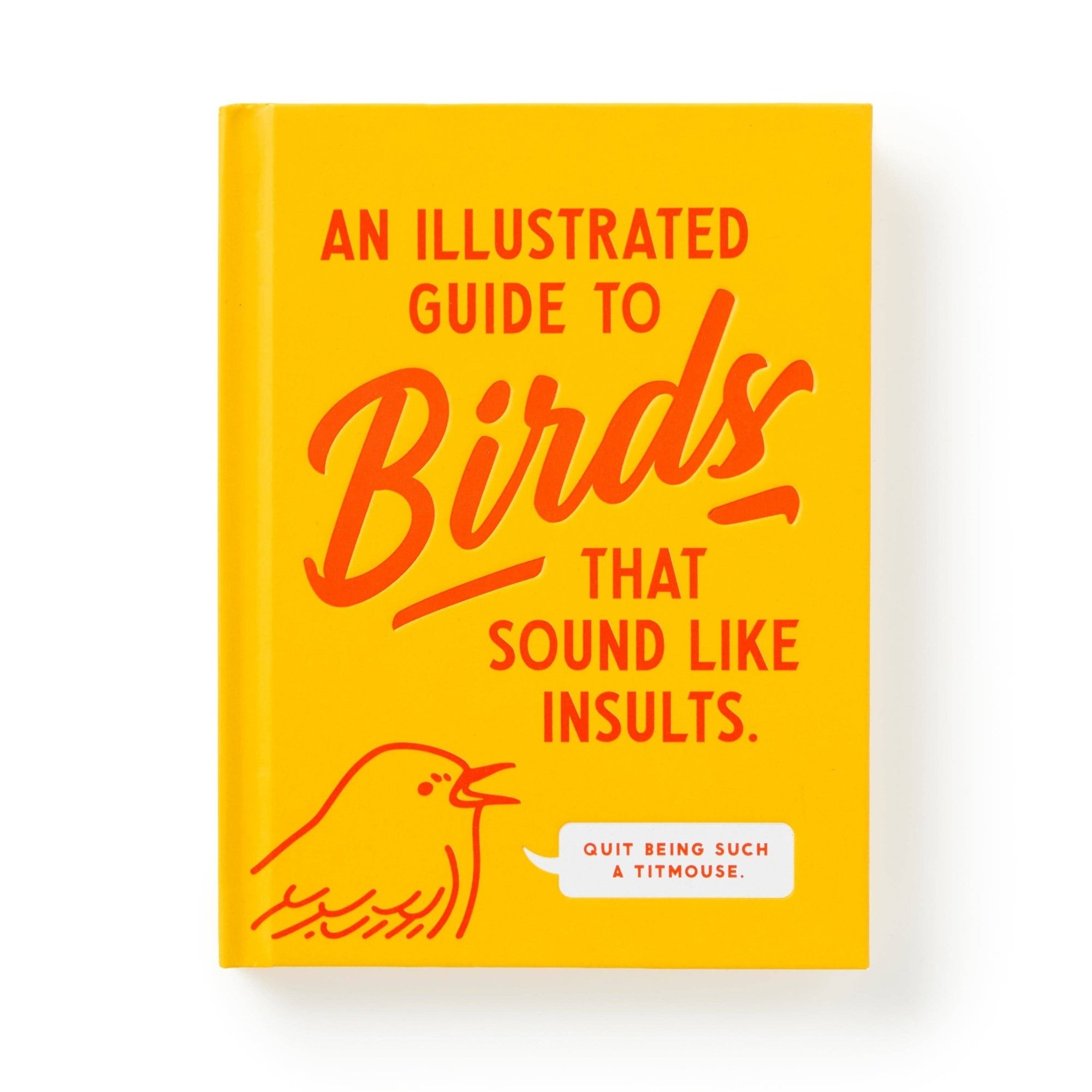 Brass Monkey Illustrated Guide to Birds - Box Turtle