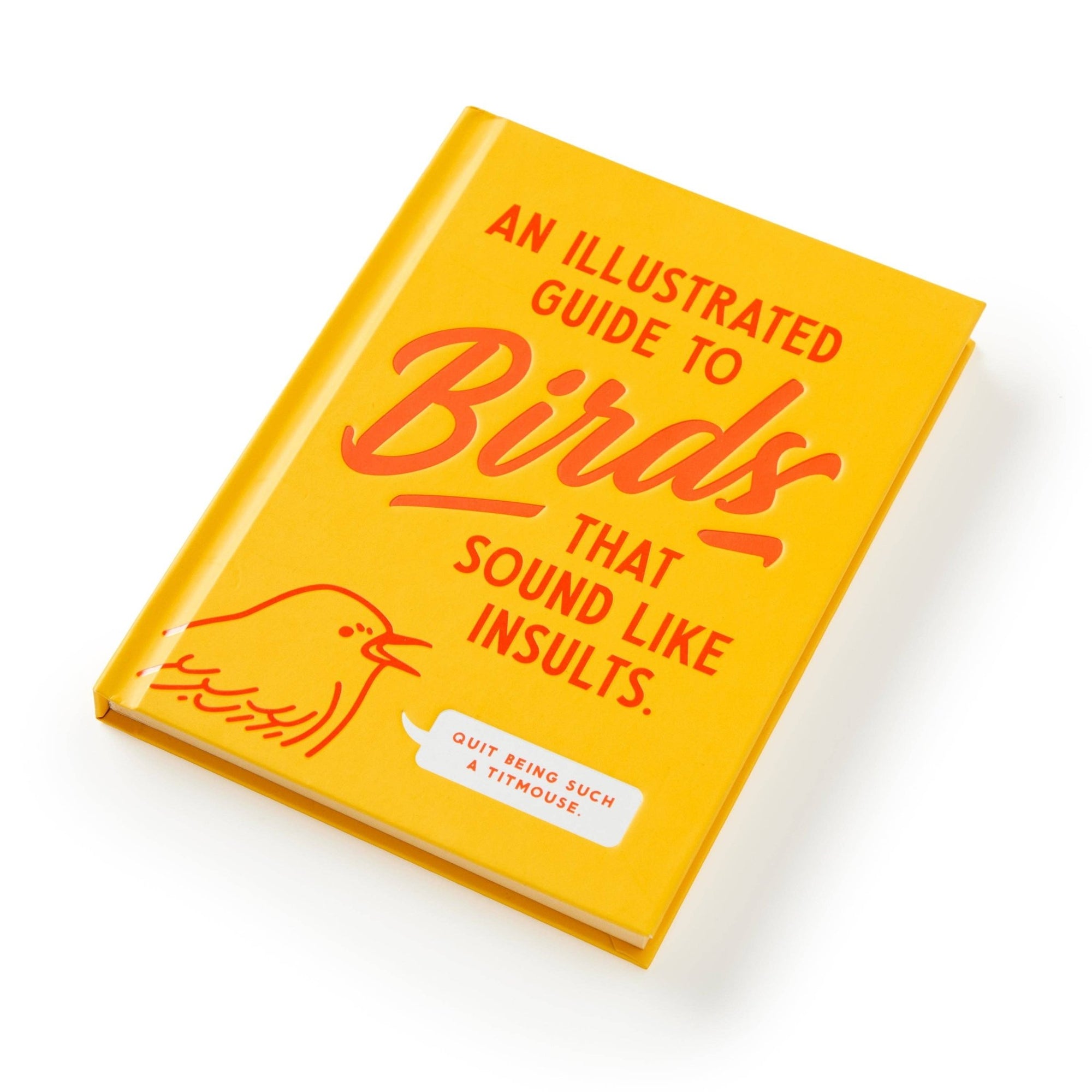 Brass Monkey Illustrated Guide to Birds - Box Turtle