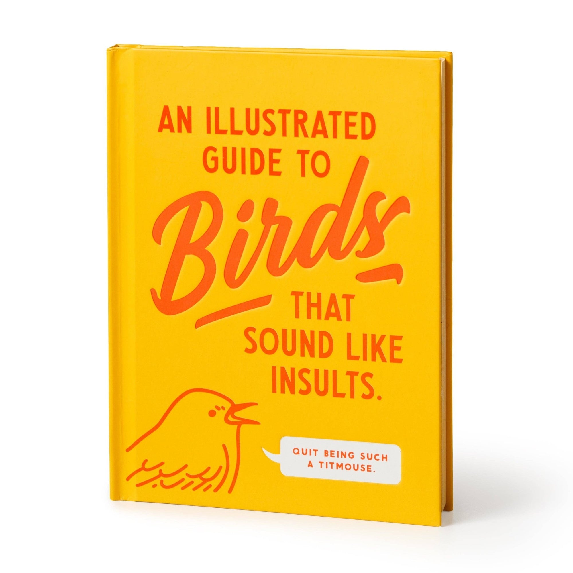 Brass Monkey Illustrated Guide to Birds - Box Turtle