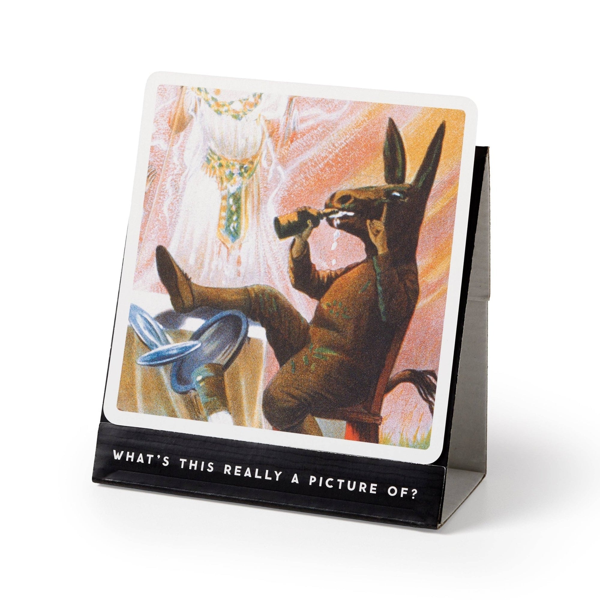 Brass Monkey Oddly Correct Party Game - Box Turtle