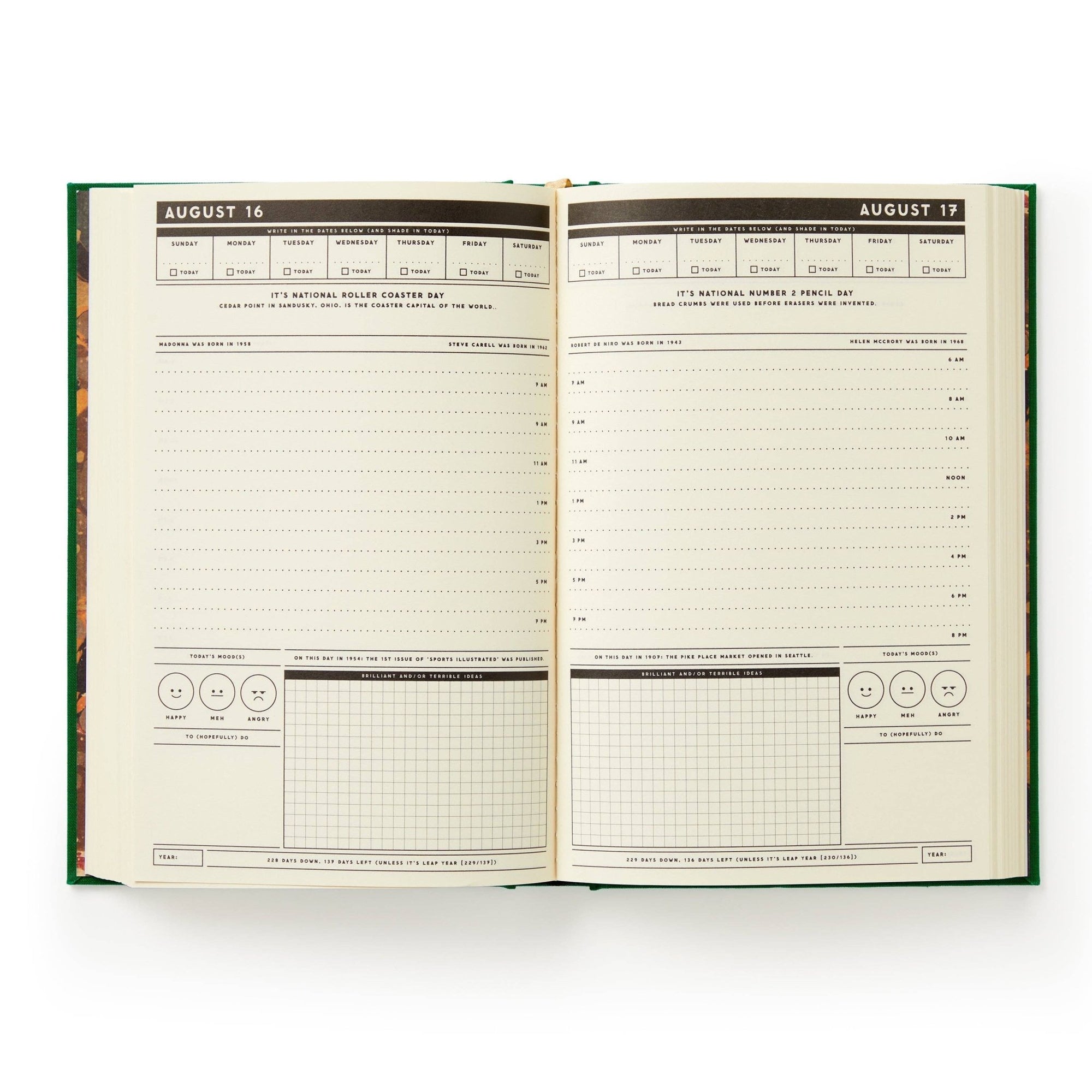 Brass Monkey These are the Days of My Life Undated Planner - Box Turtle