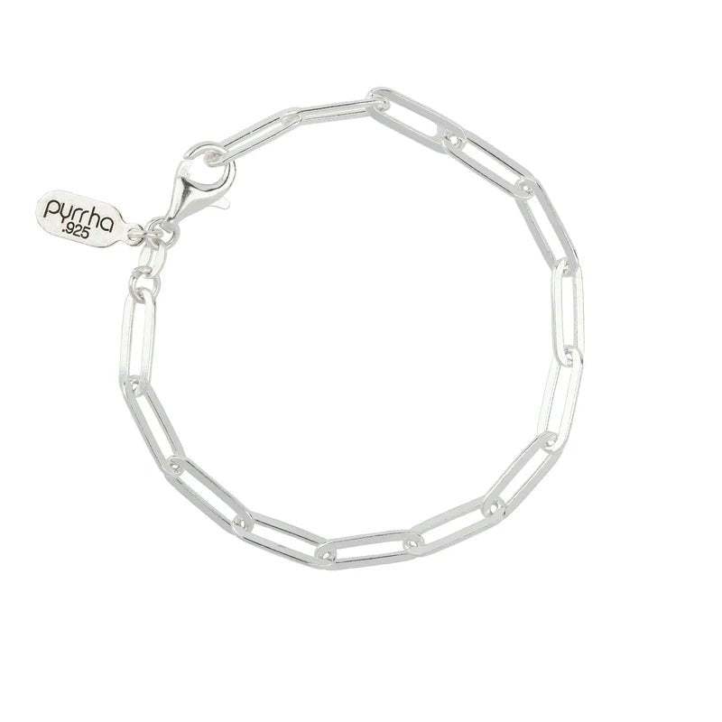 Bright Sterling Silver Paperclip Chain Bracelet - Box Turtle