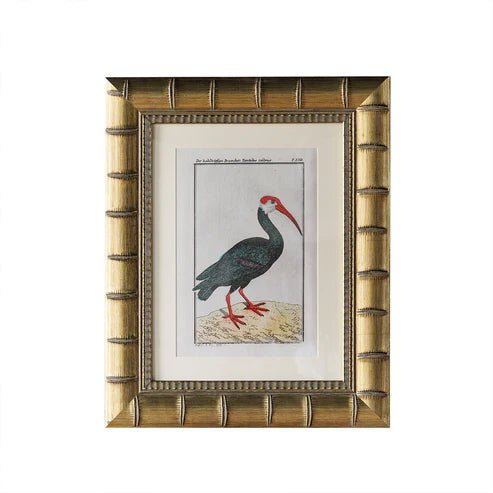 Brixham Matted Frame - Assorted Sizes - Box Turtle