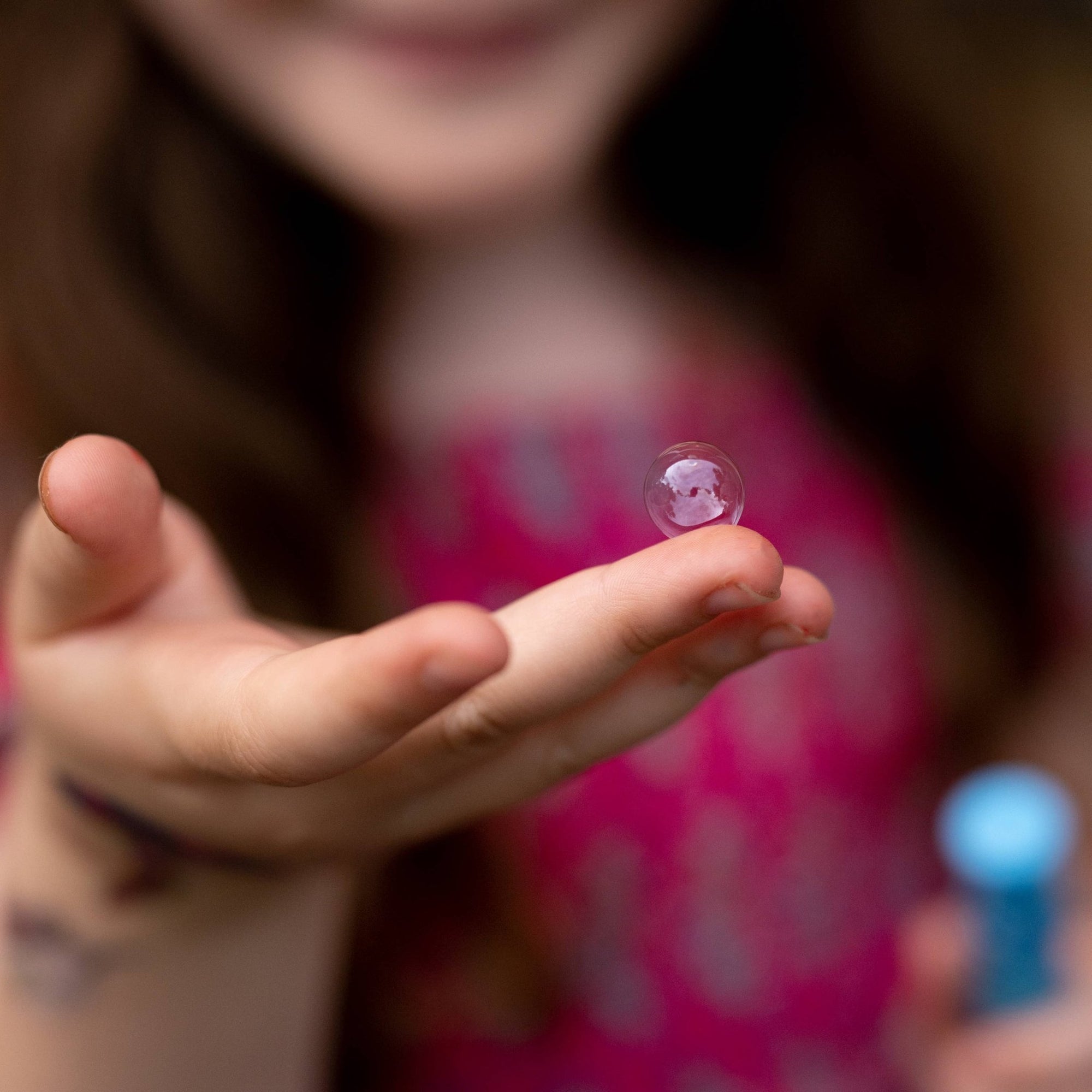 Bubbles of Steel: Touchable Bubbles - Box Turtle