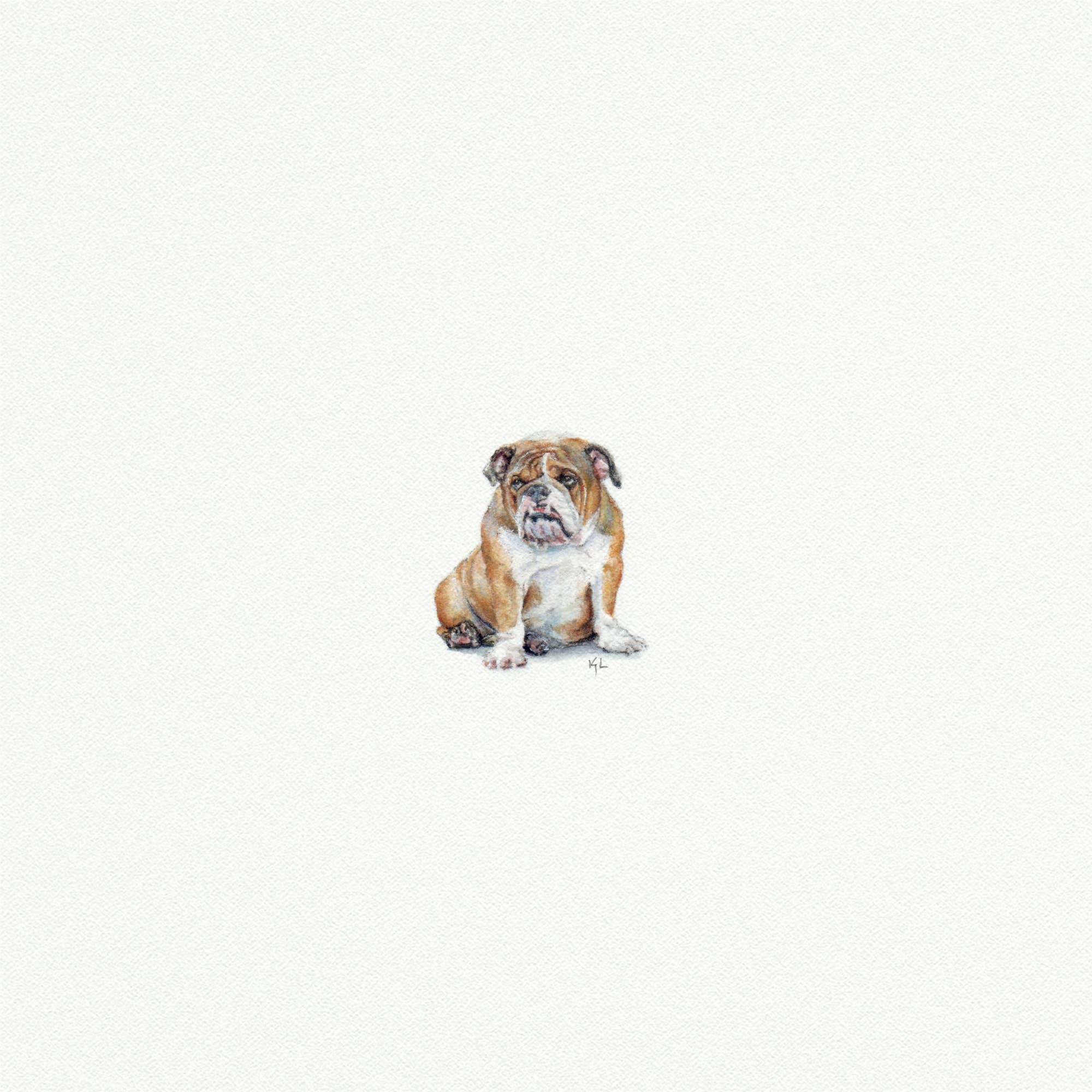 Bulldog Watercolor Painting - Box Turtle