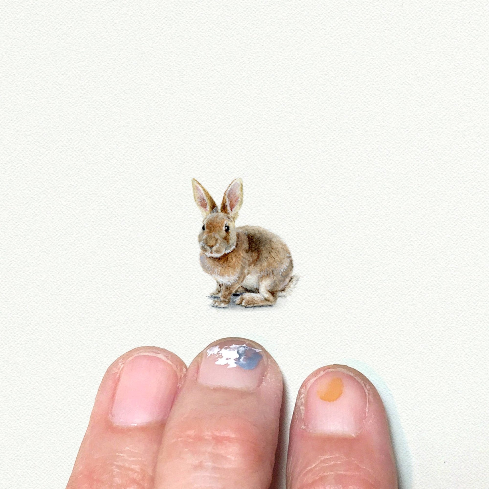 Bunny Miniature Watercolor Print - Box Turtle