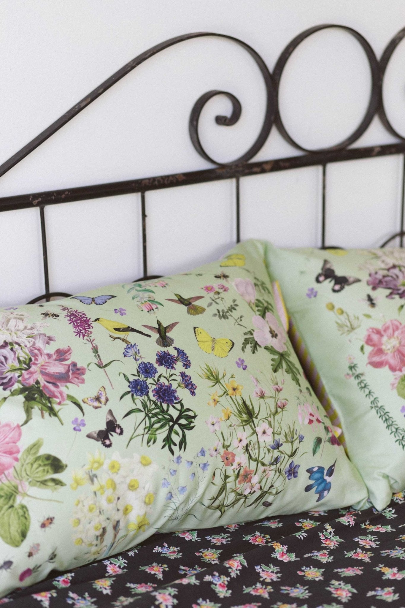 Busy Garden Pillowcase Set - Box Turtle
