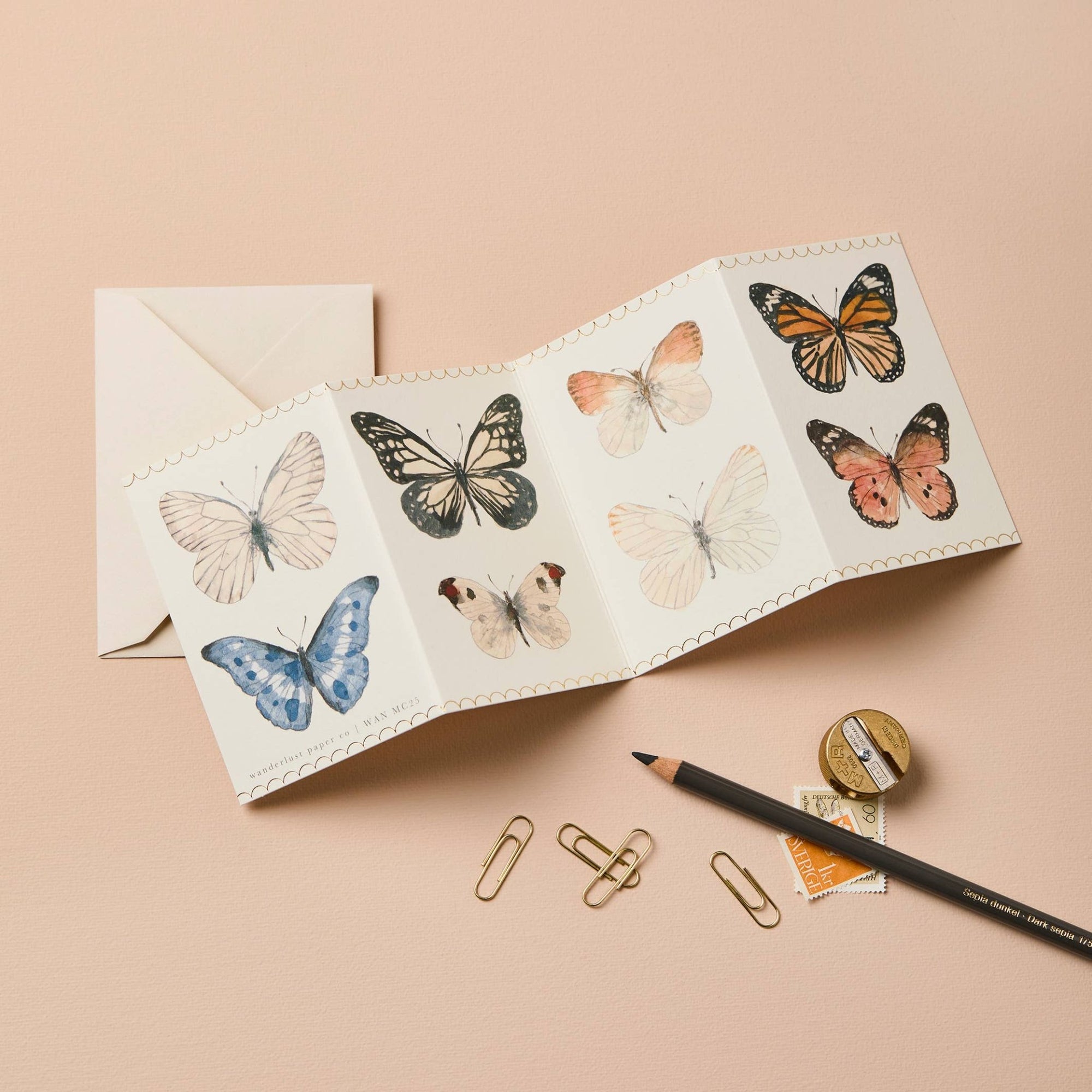 Butterfly Concertina Mini Card - Box Turtle