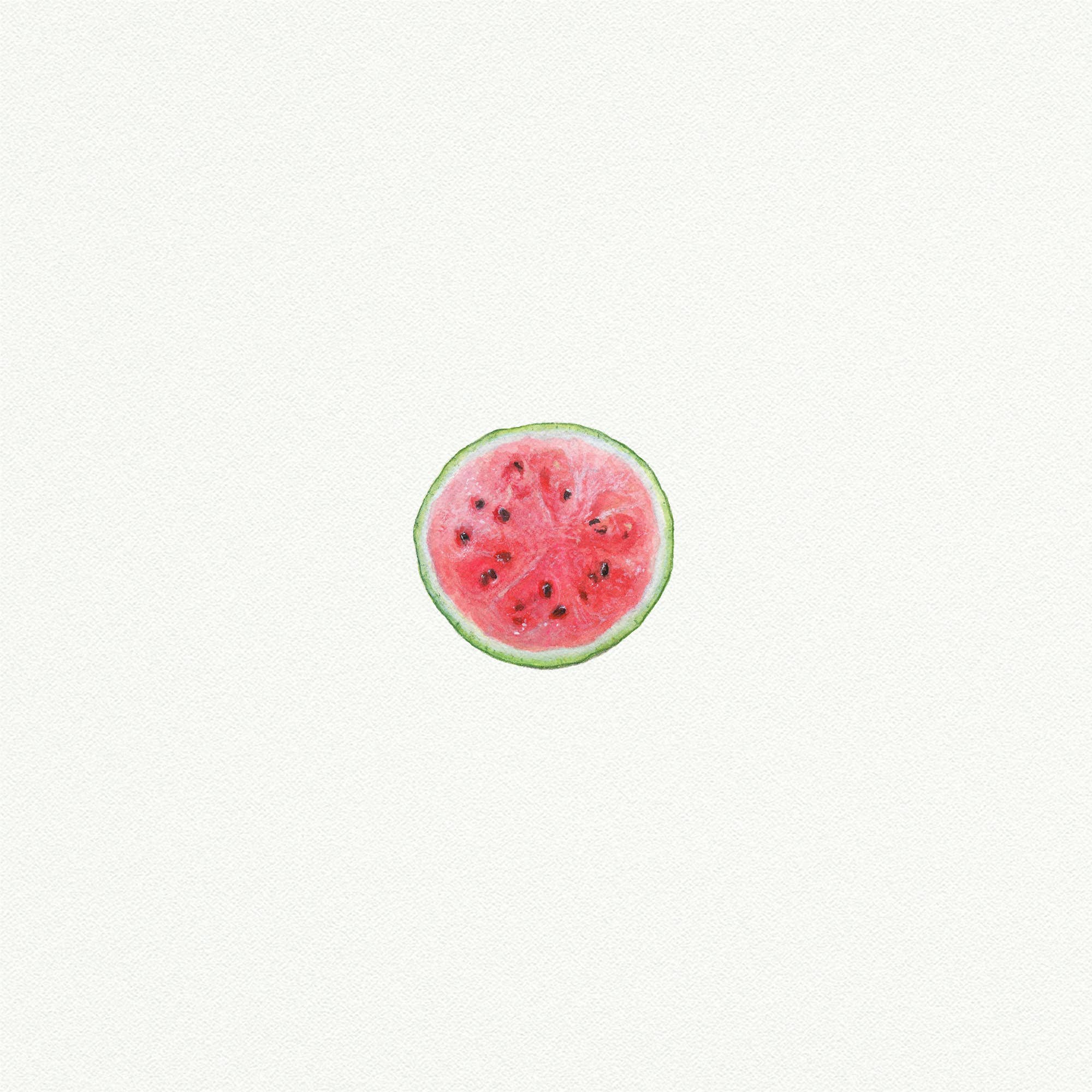 Watermelon Slice Miniature Watercolor Painting