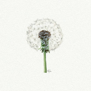 Dandelion Miniature Watercolor Print