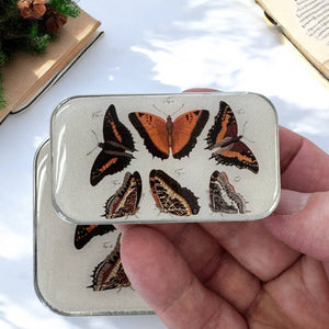 Orange Butterflies Trinket Tin