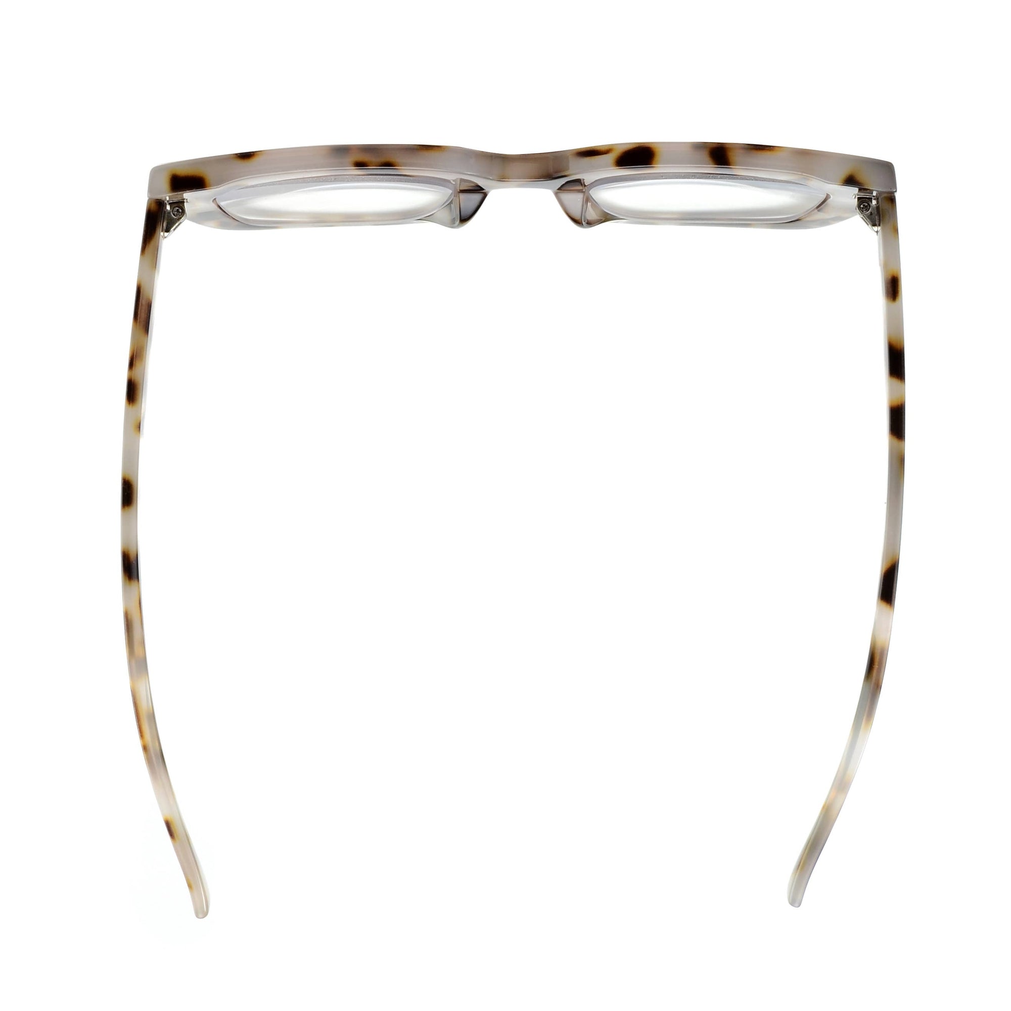 Owen  - Bone Tortoise