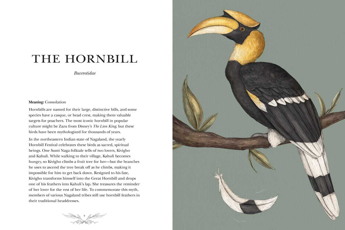 Ornithography
