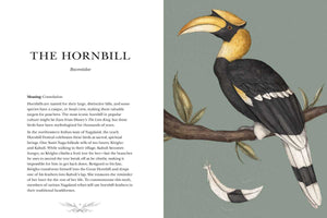 Ornithography