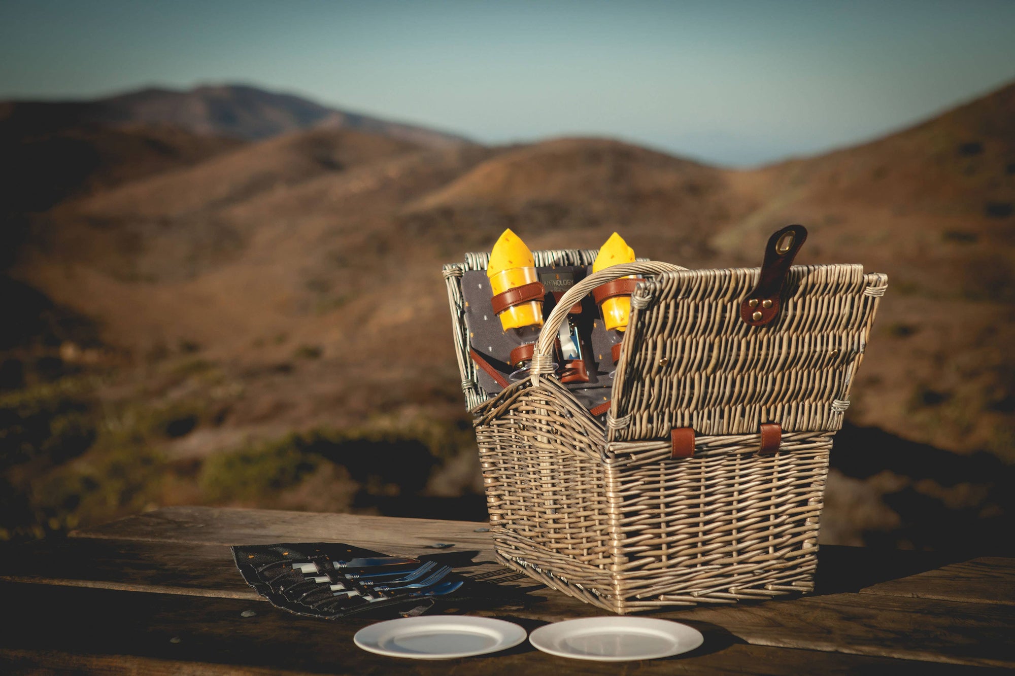 Gray Piccadilly Picnic Basket for 2