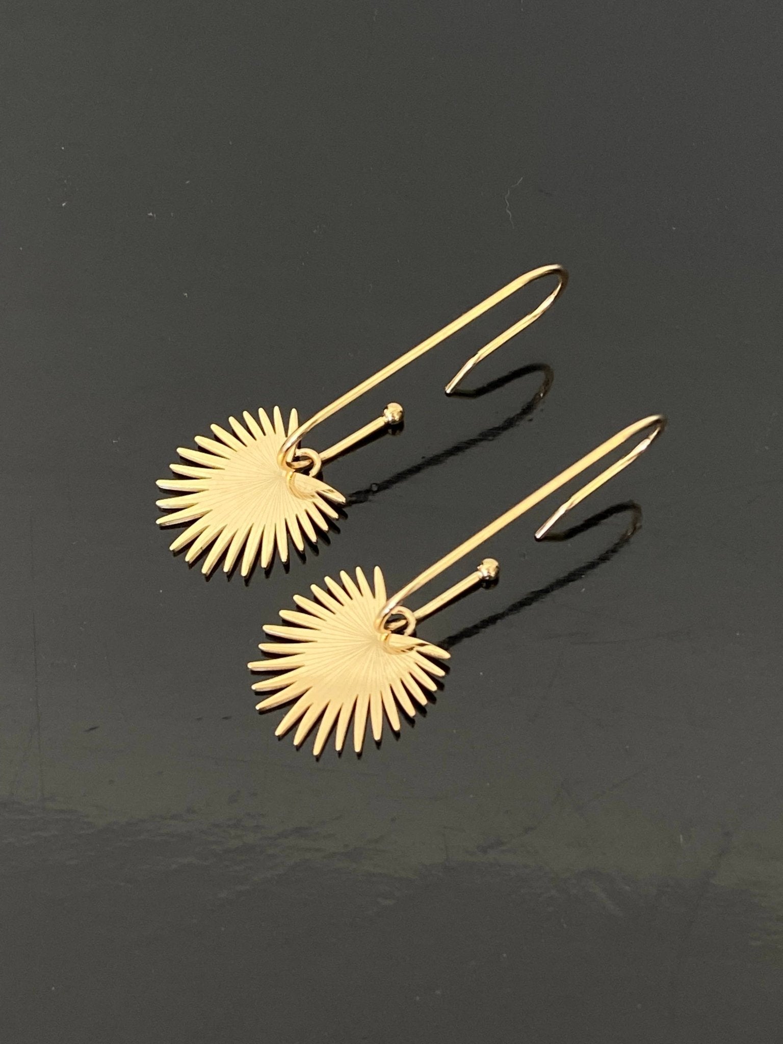 Cacti Earrings - Box Turtle