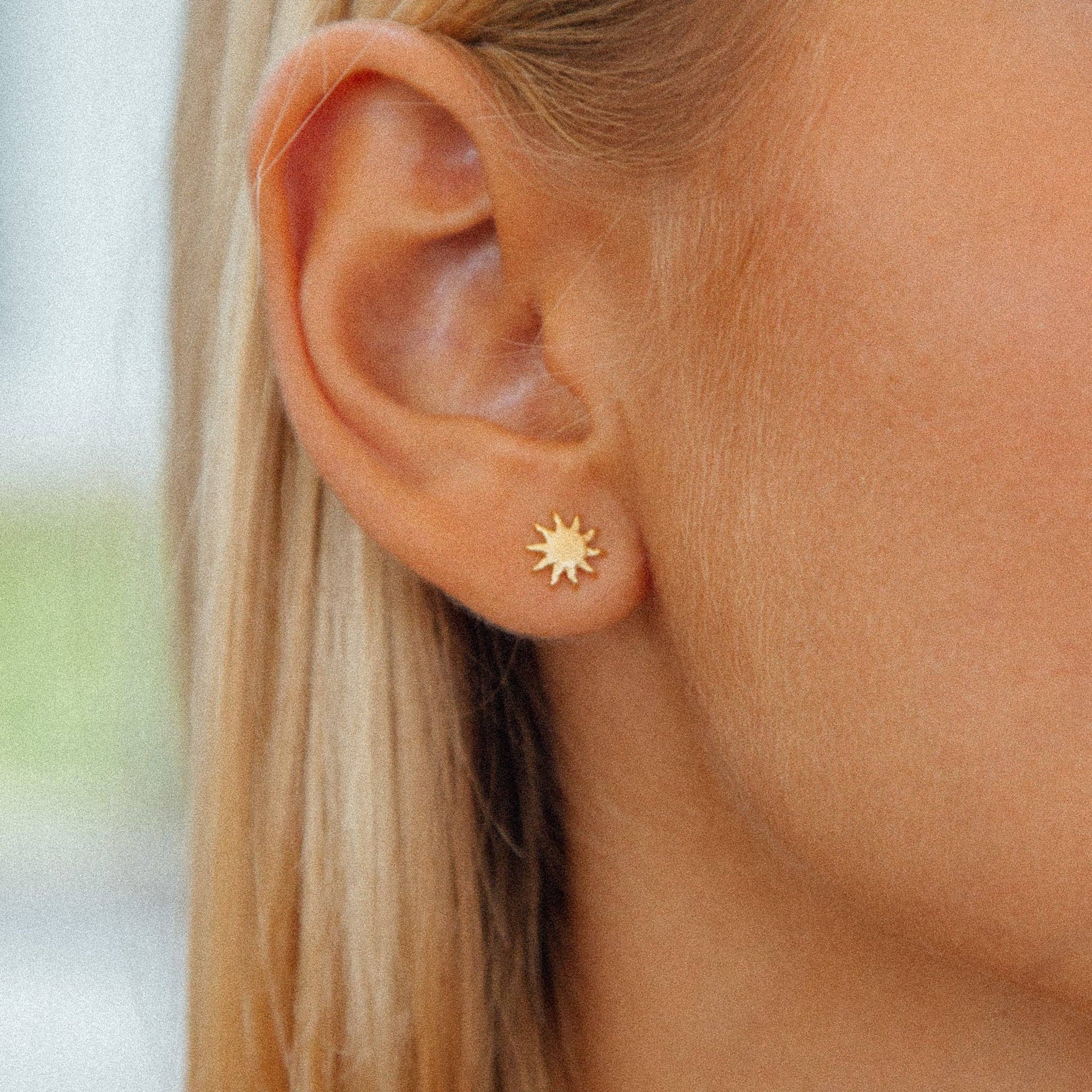 Cala Studs - Box Turtle