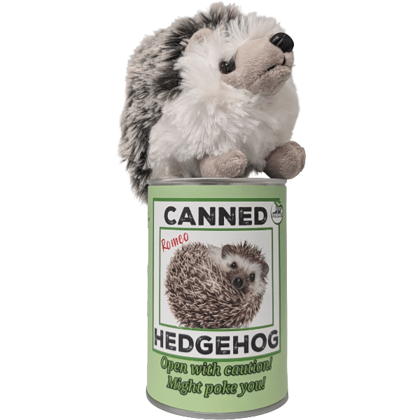 Canned Hedgehog - Stuffed Animal - Box Turtle