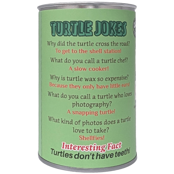 Canned Sea Turtle - Stuffed Animal - Box Turtle