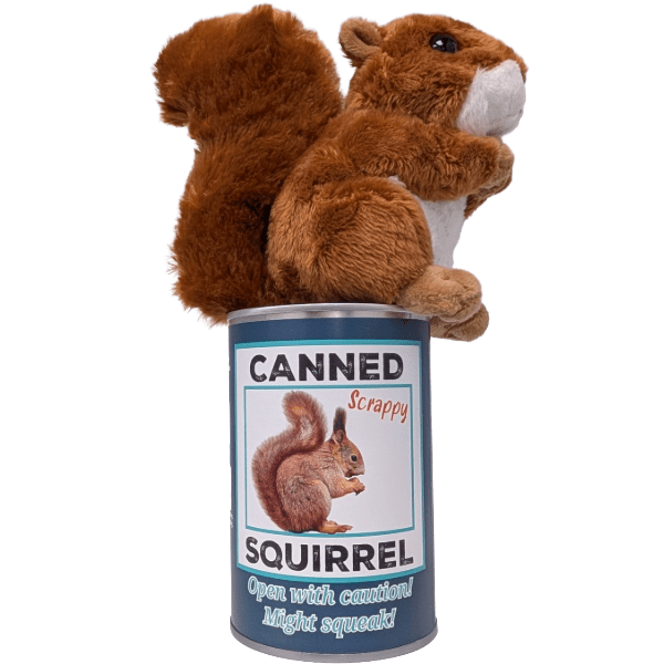 Canned Squirrel - Stuffed Animal - Box Turtle