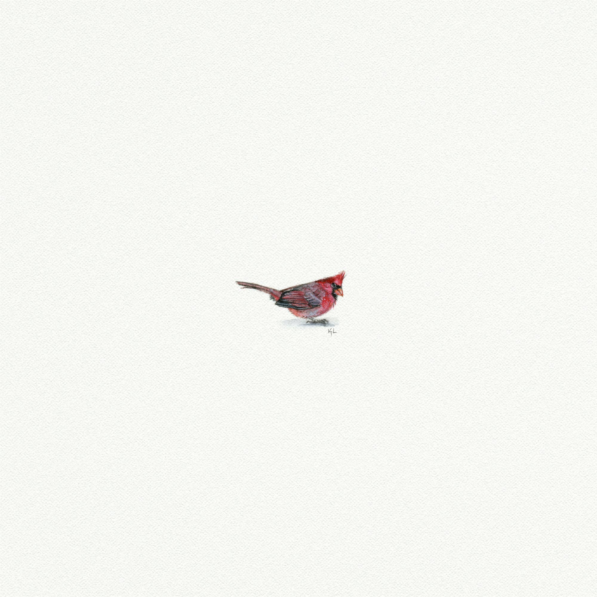 Cardinal Miniature Watercolor Print - Box Turtle