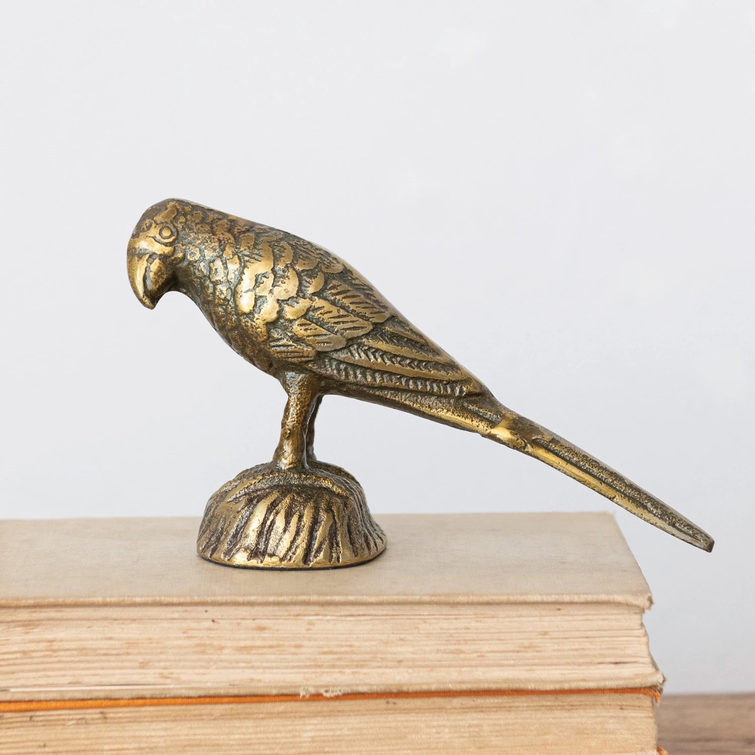 Cast Aluminum Bird - Box Turtle