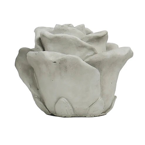Cast Concrete Rose - Box Turtle