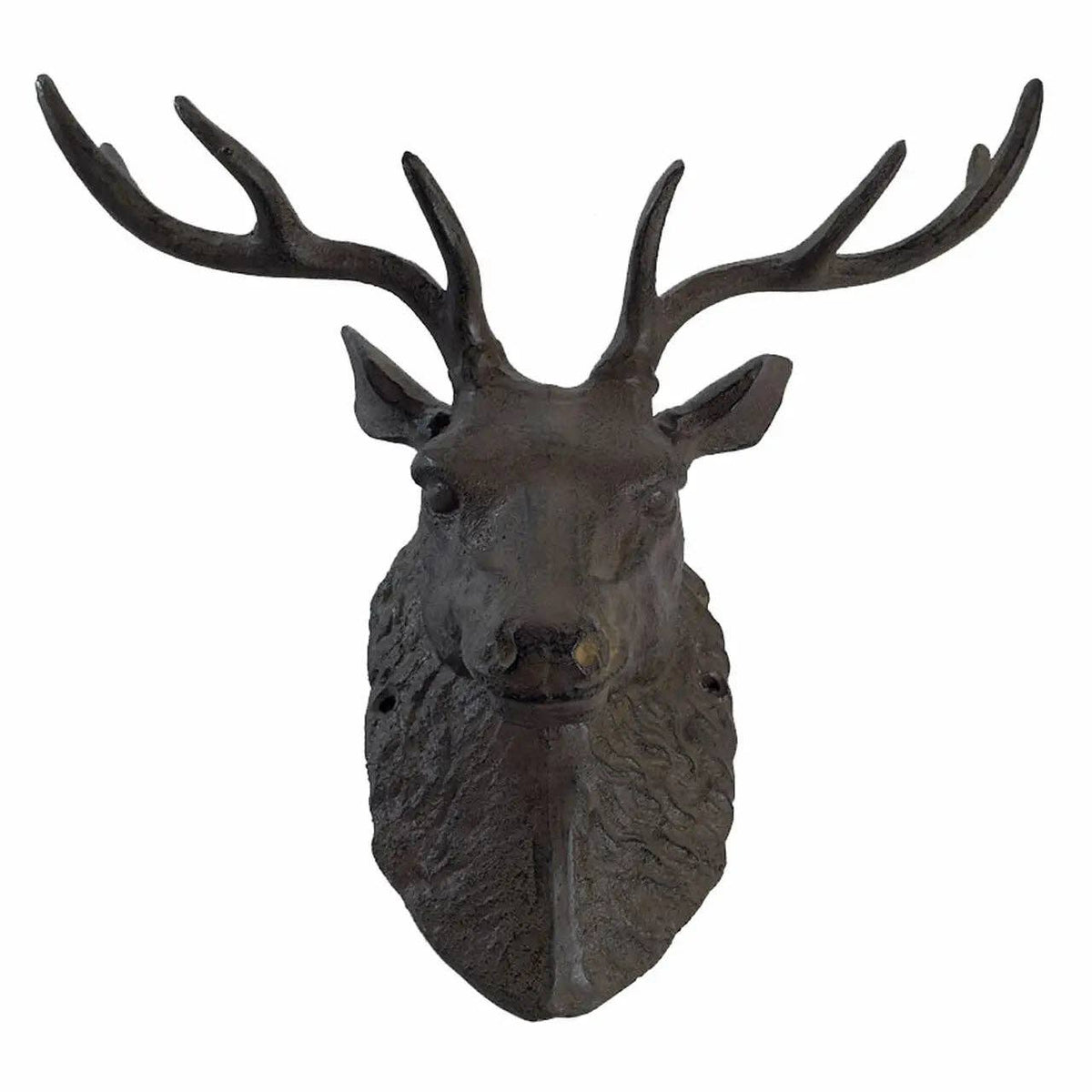 Cast Iron Buck Head - Box Turtle