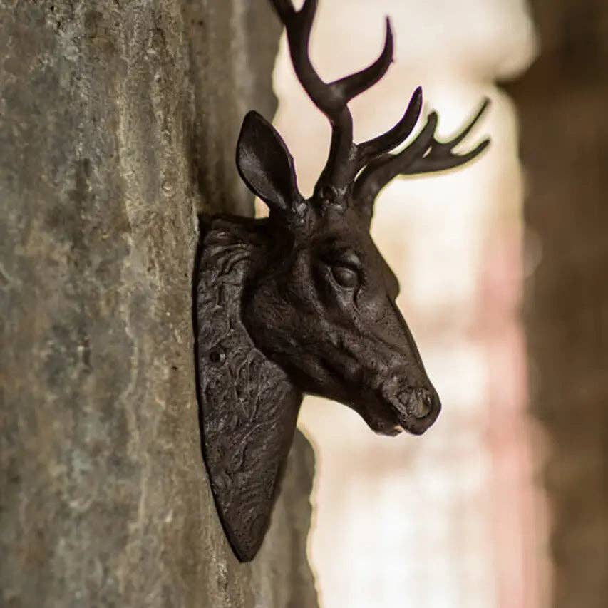 Cast Iron Buck Head - Box Turtle