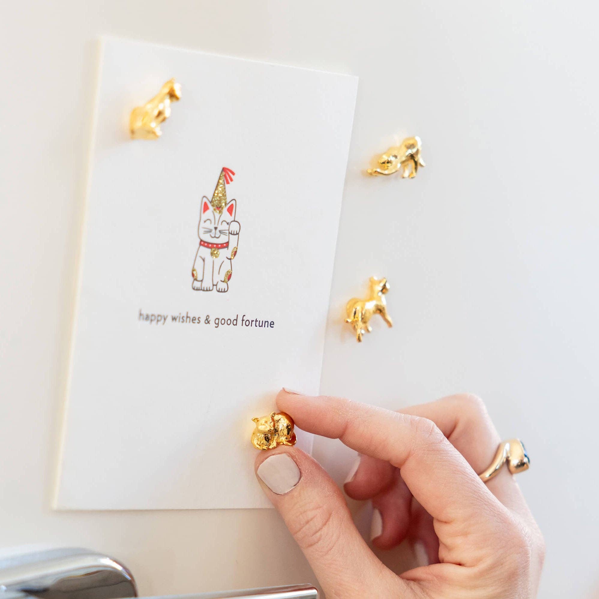 Cast Metal Cat Magnets - Box Turtle