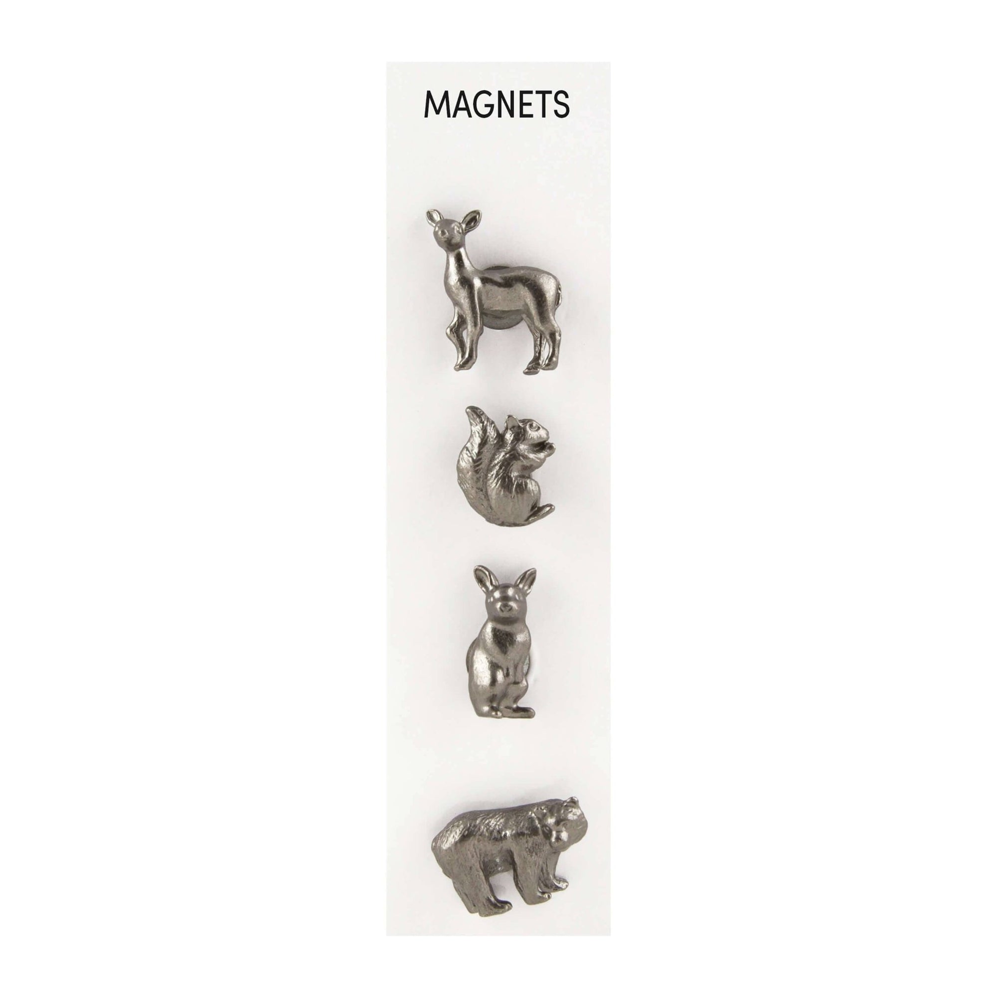 Cast Metal Forest Magnets - Box Turtle