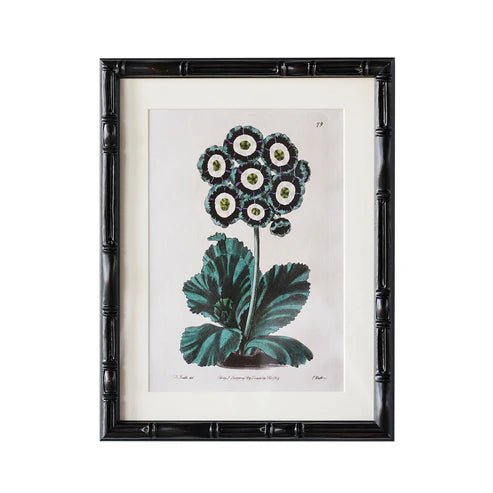 Castleford Matted Frame - Assorted Sizes - Box Turtle