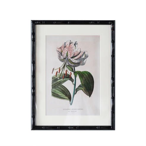 Castleford Matted Frame - Assorted Sizes - Box Turtle