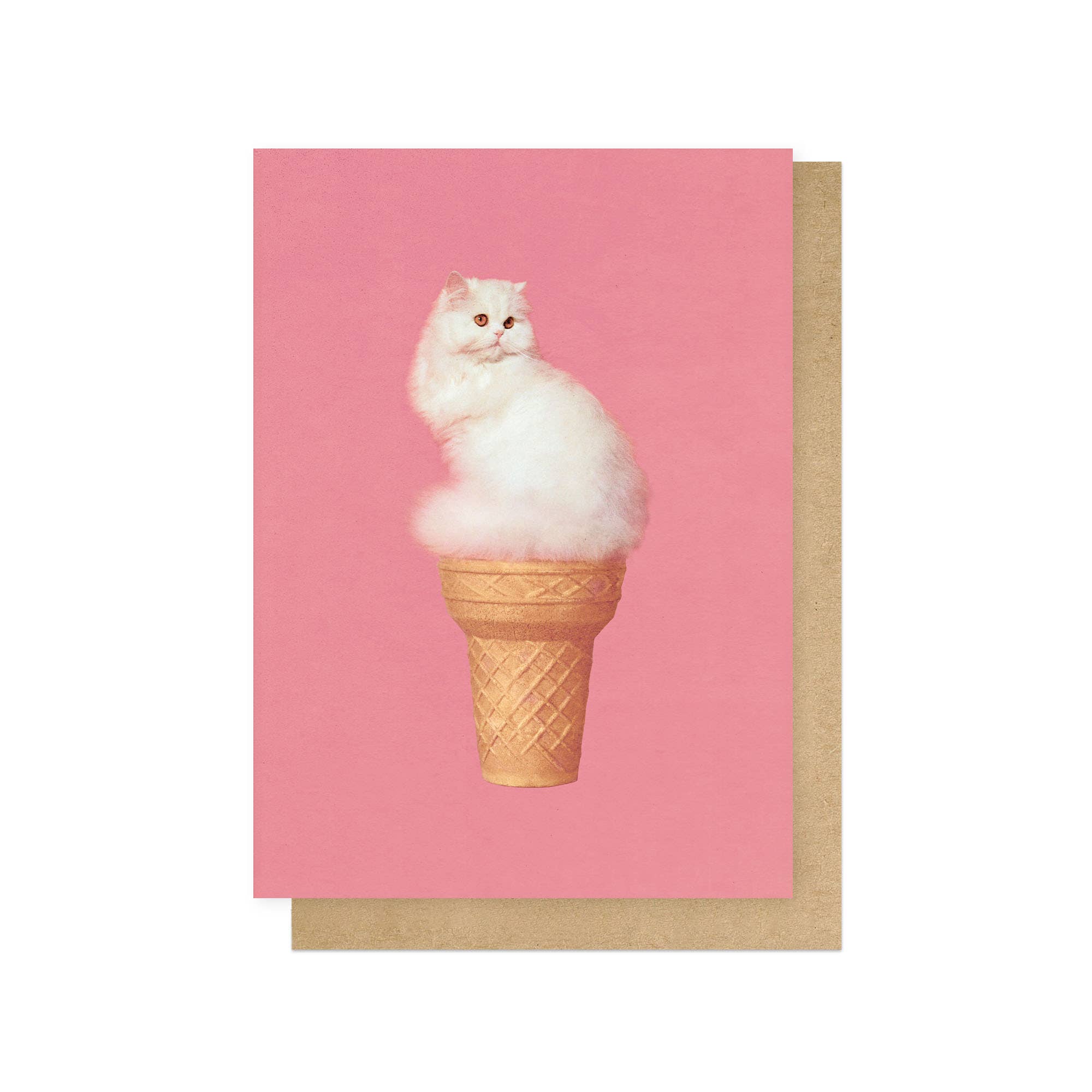 Cat Ice Cream Greetings Card - Box Turtle