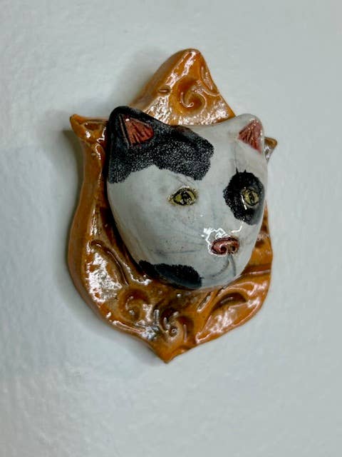 Cat on a Plaque - Box Turtle