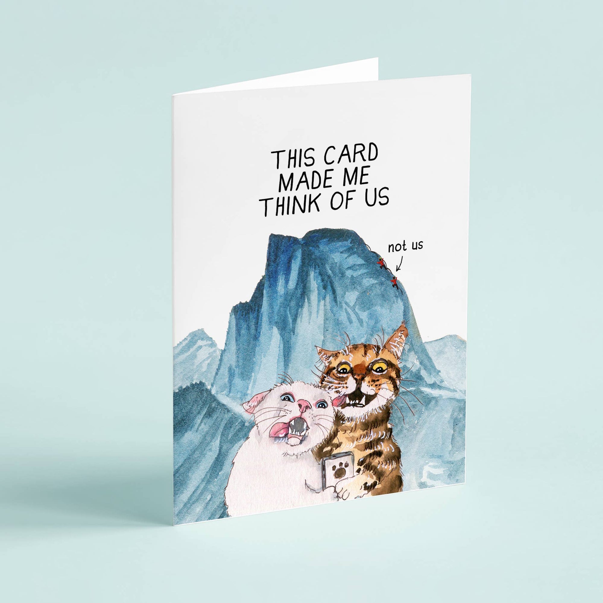 Cats Couple Adventure Funny Anniversary Card - Box Turtle