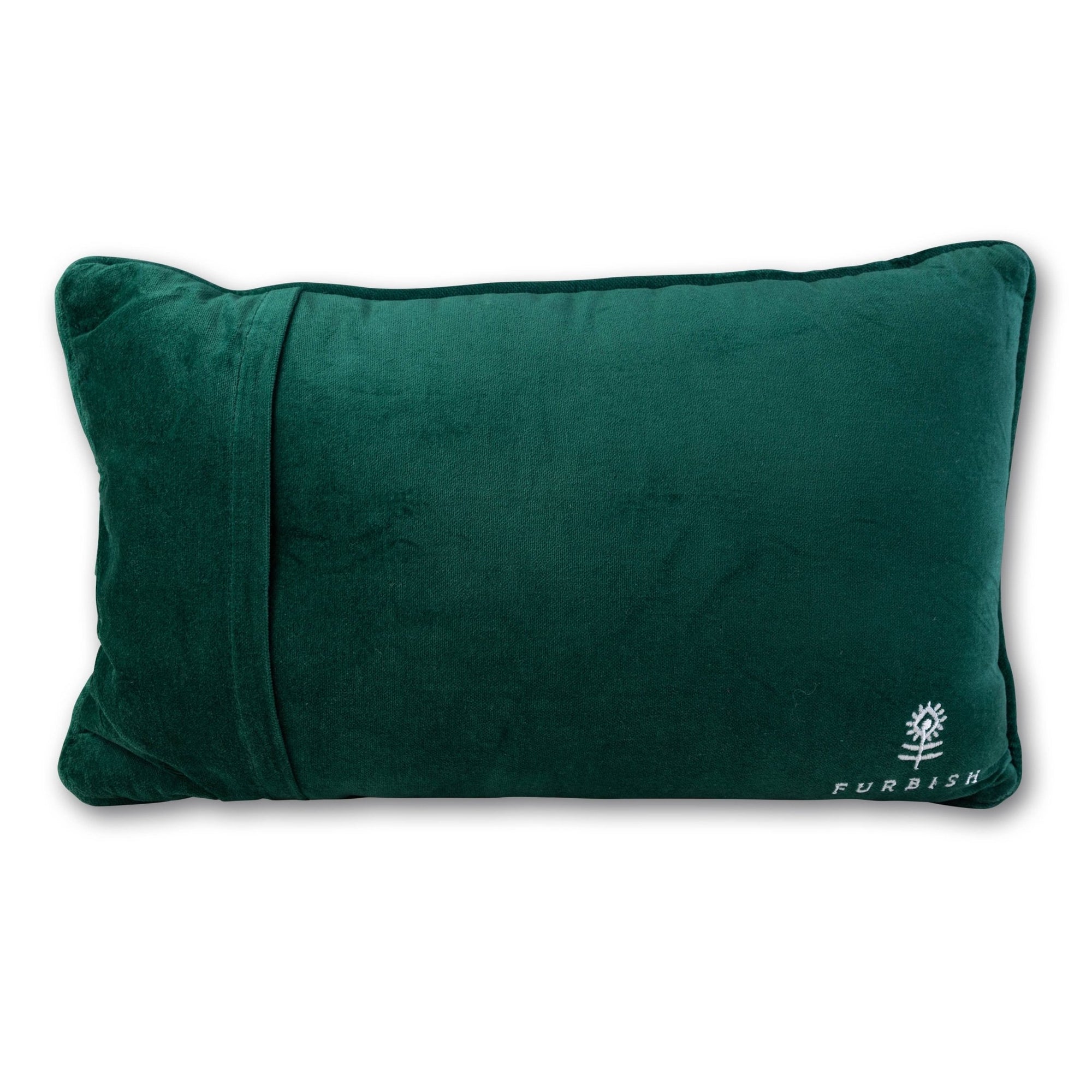 Caviar and Cash Needlepoint Pillow - Box Turtle