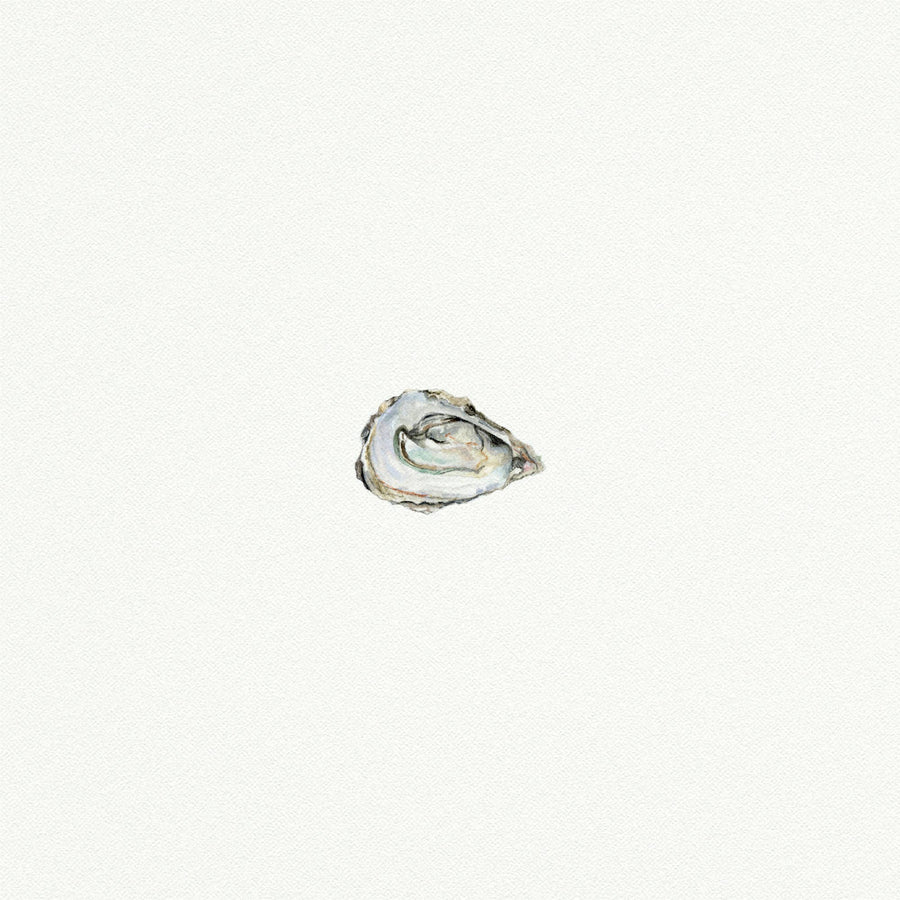 Oyster Miniature Watercolor Print