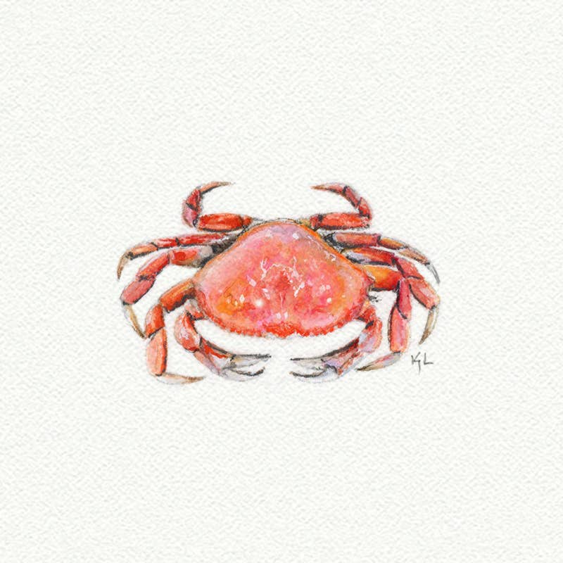 Crab Miniature Watercolor Print