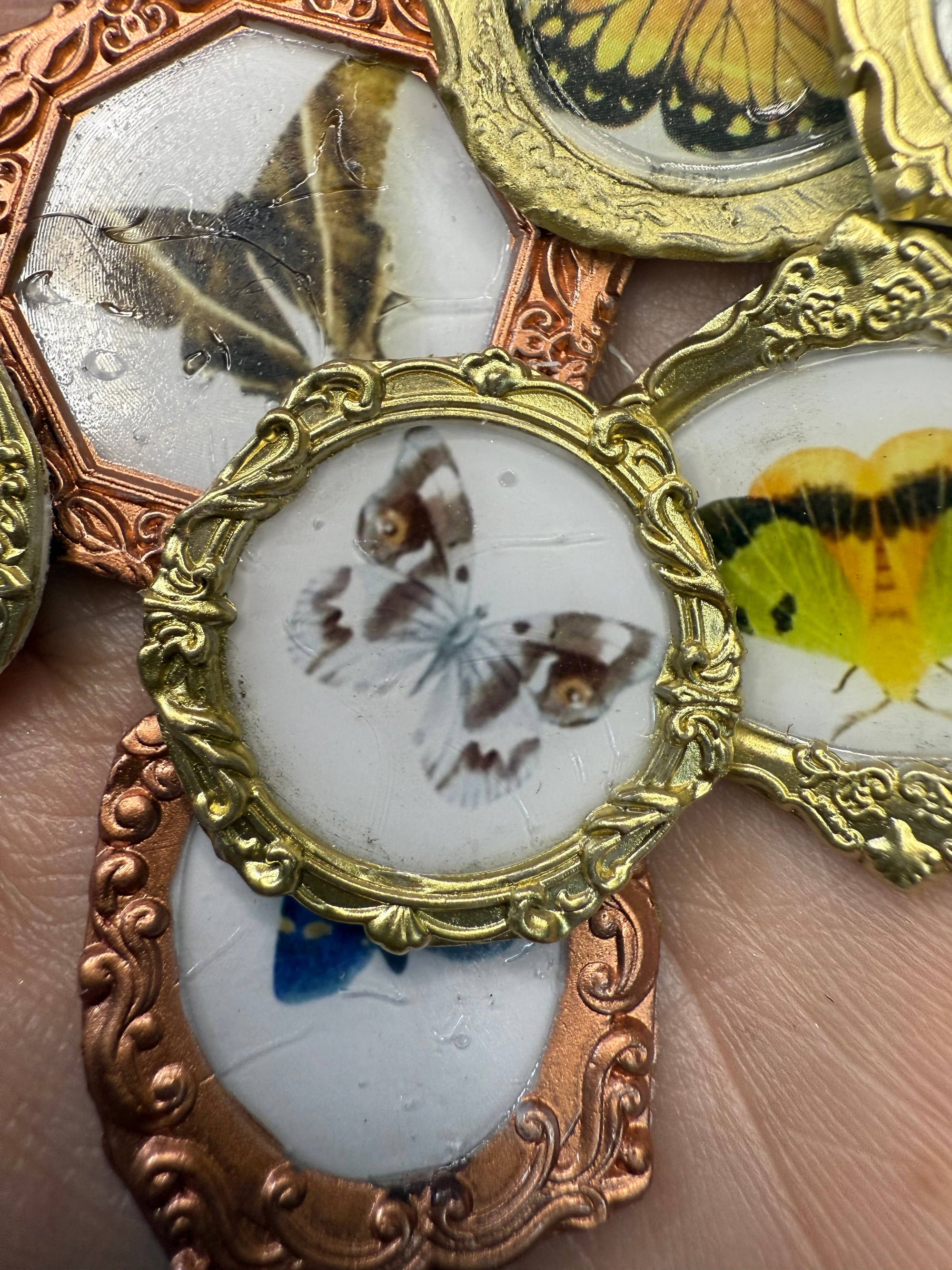 Moth Magnets