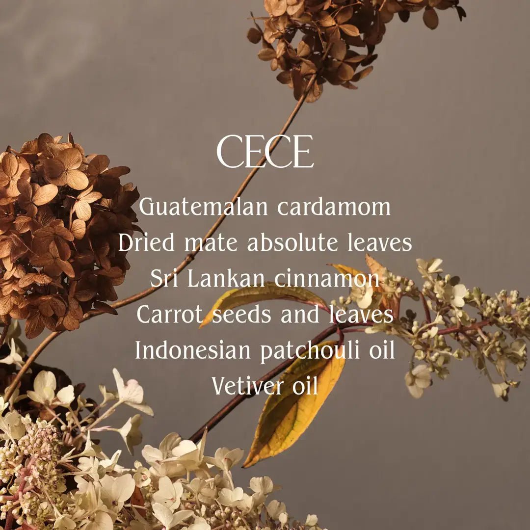 Cece Perfume Oil - Box Turtle