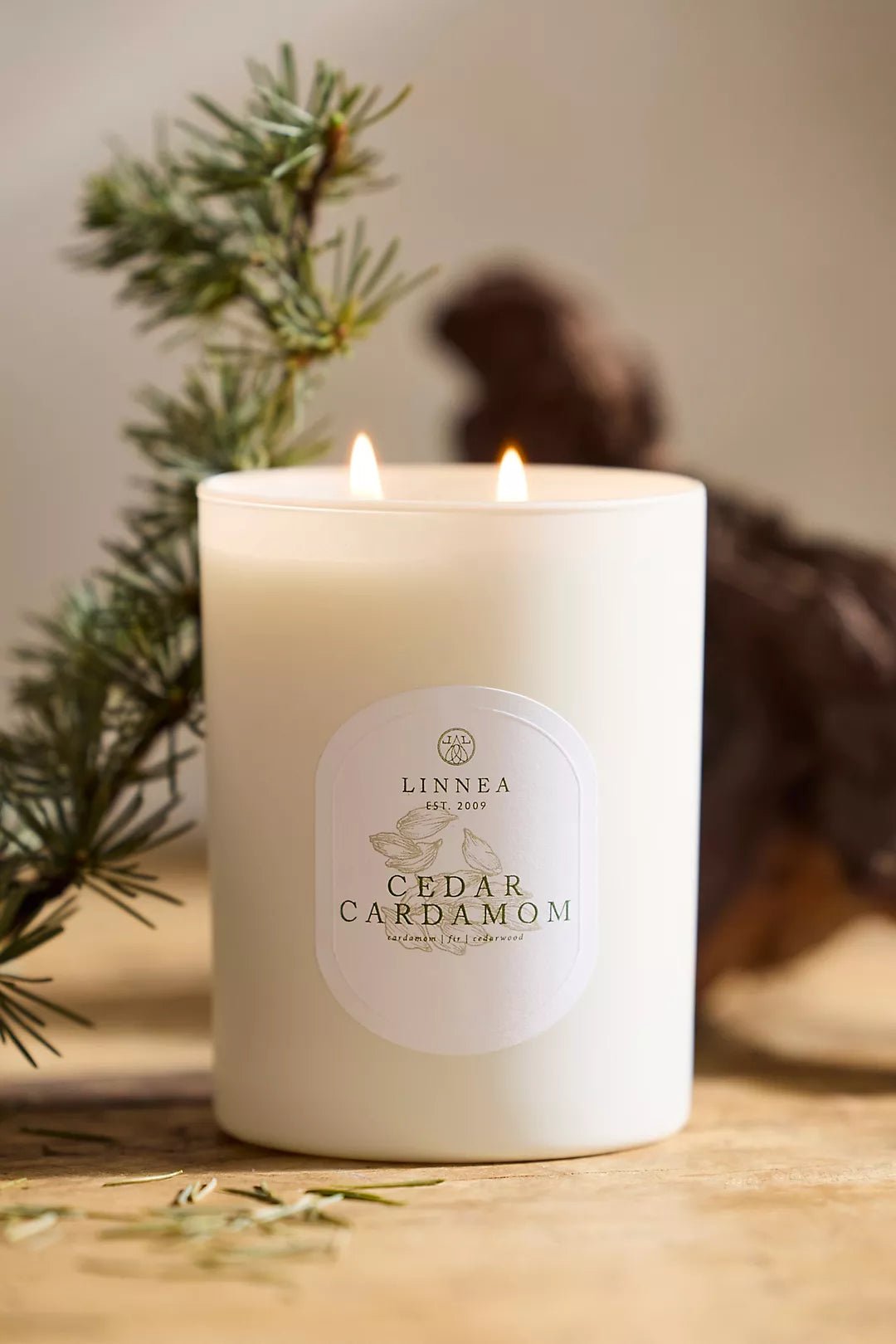 Cedar Cardamom Candle - Box Turtle