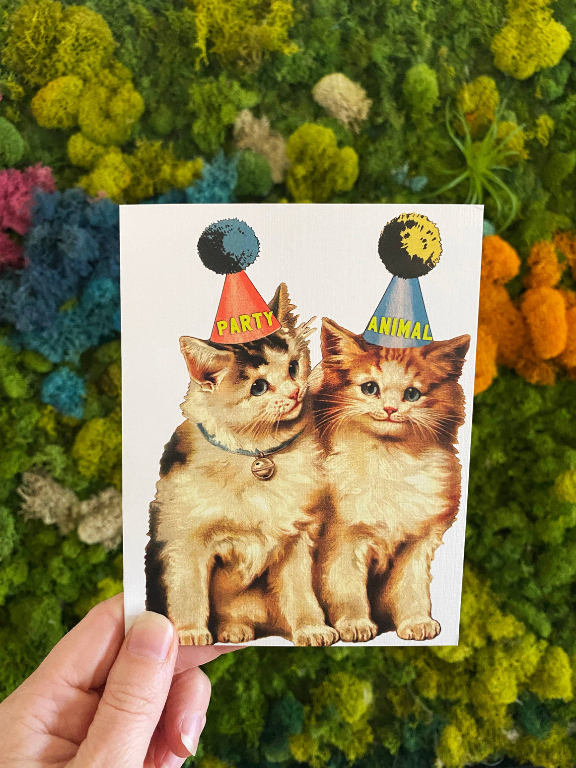 Party Animal Cats Card