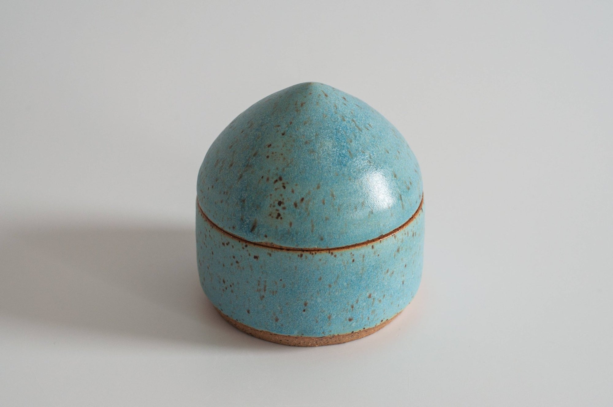 Ceramic Box - Box Turtle