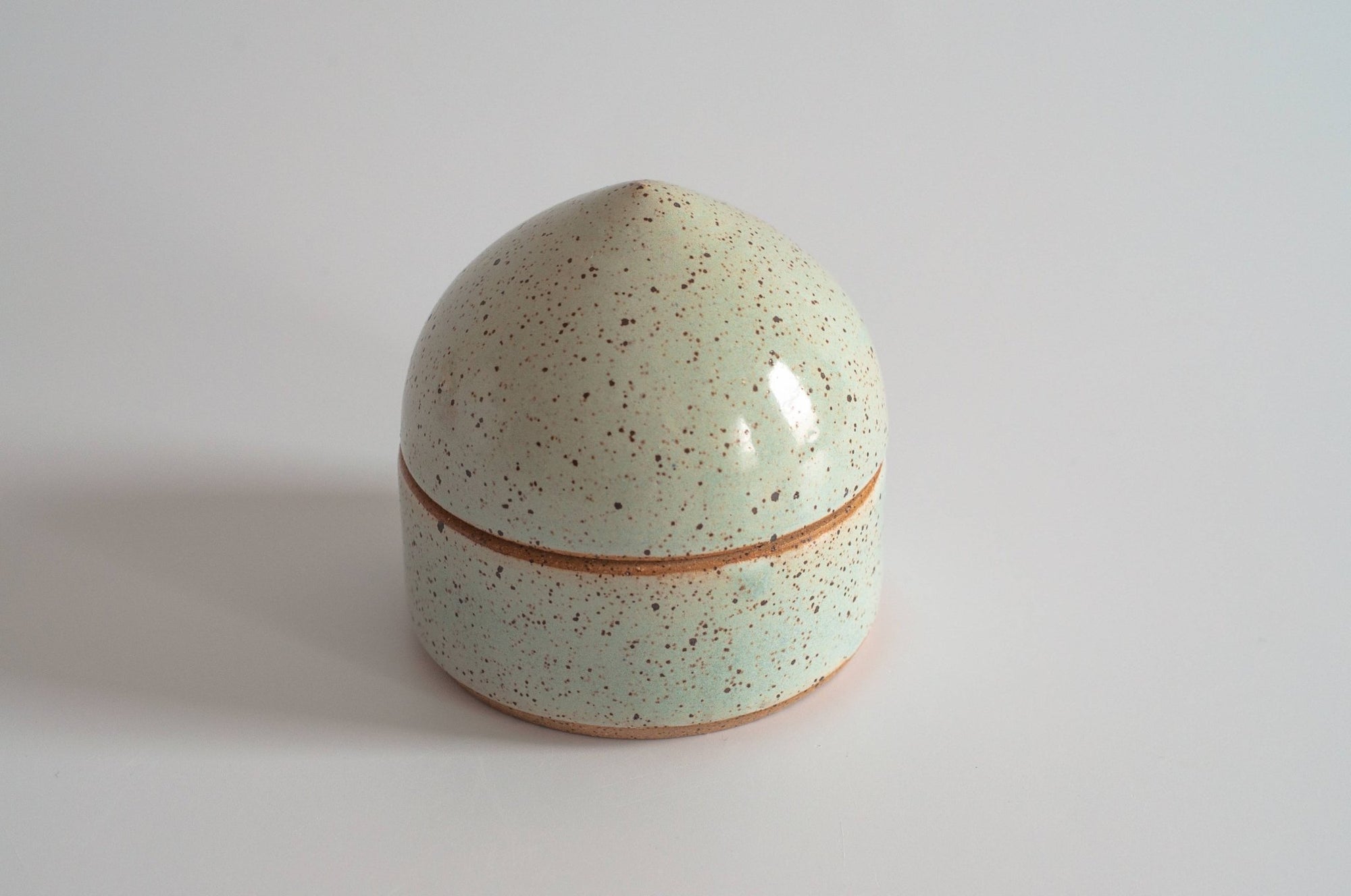 Ceramic Box - Box Turtle