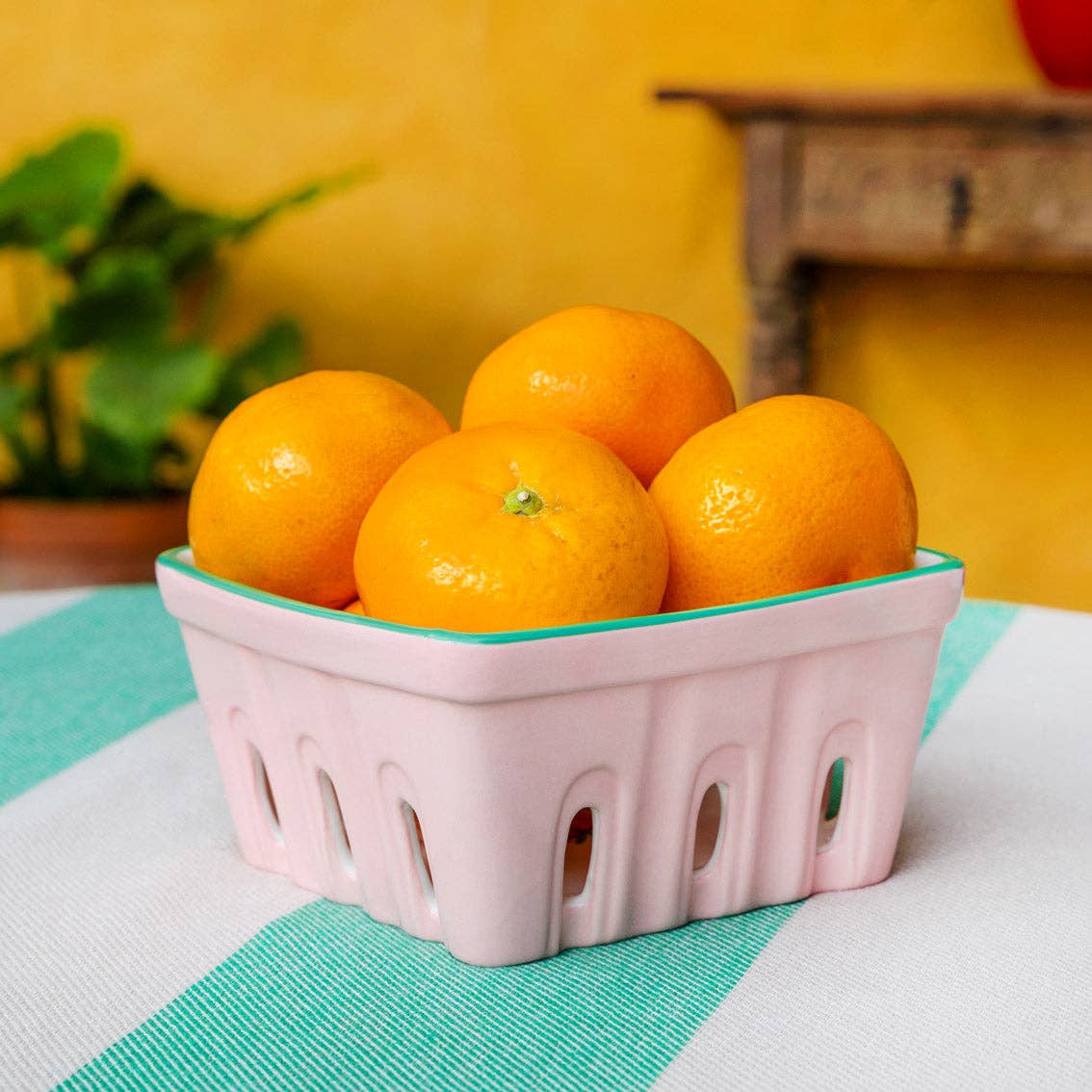 Ceramic Fruit Punnets - Box Turtle