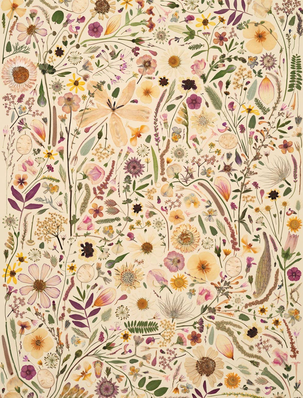 Beautiful Blooms Wrapping Paper Book