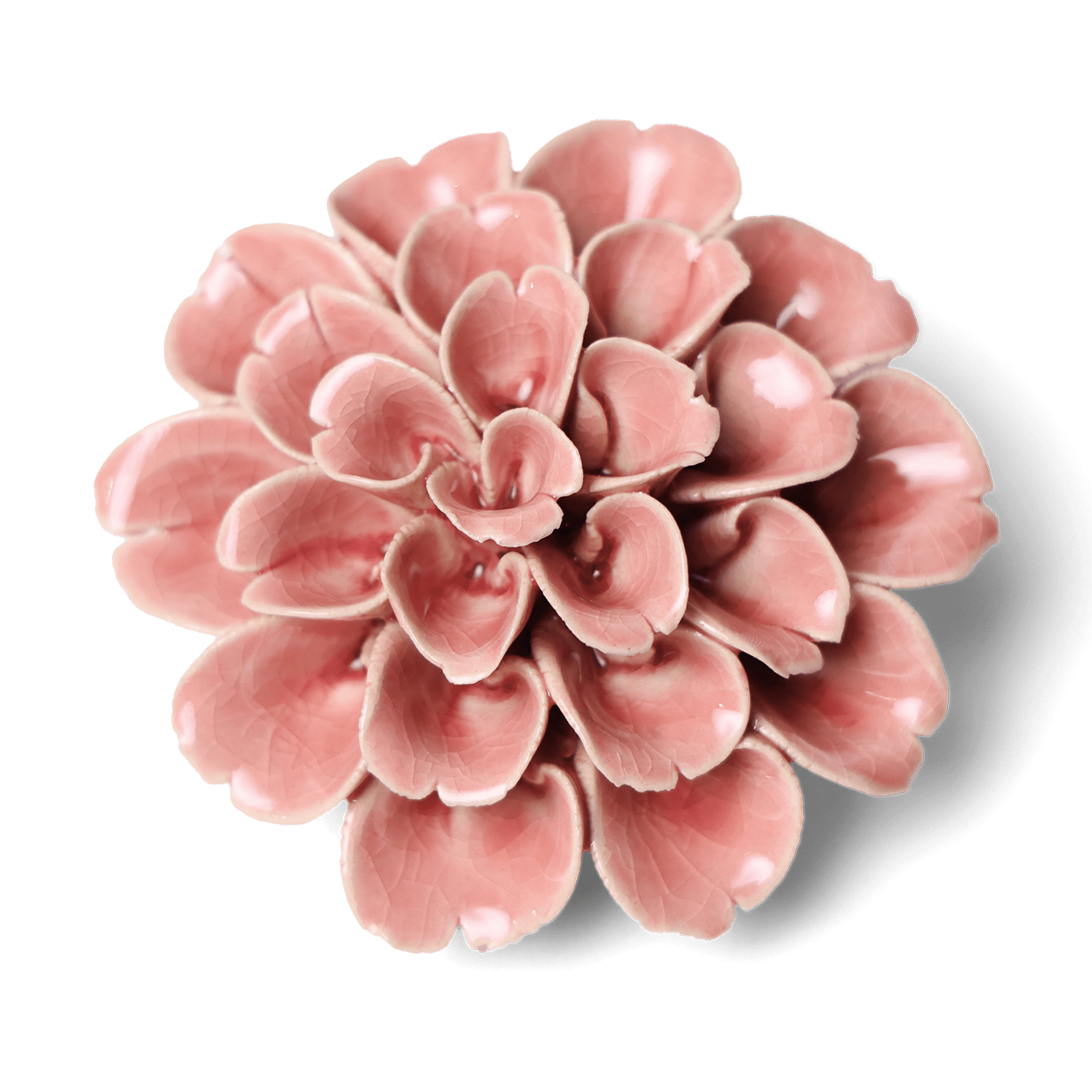 Champagne Pink Hydrangea Flower Decor - Box Turtle