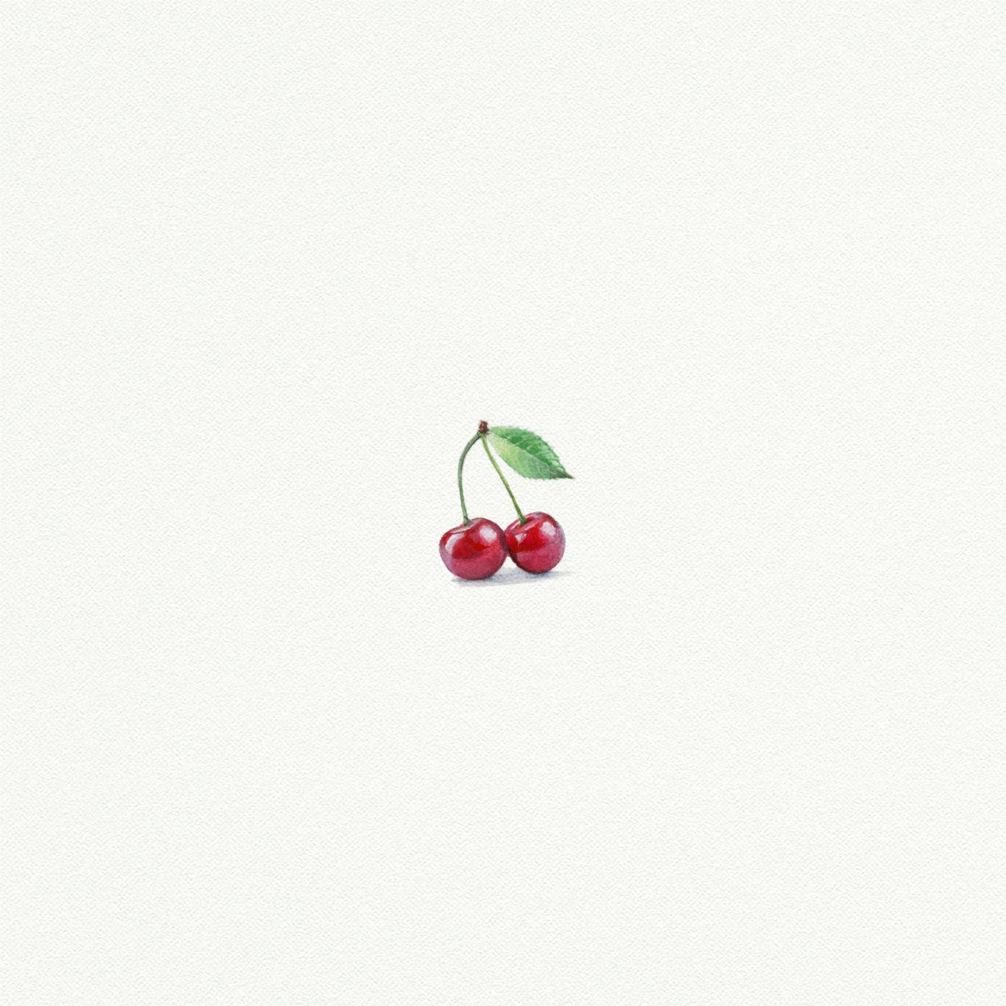 Cherries Miniature Watercolor Print - Box Turtle